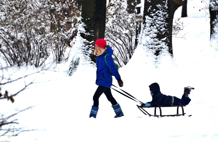 woman pulling a sled with a child on it through snow